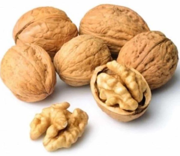 NOIX AVEC COQUE<br>  جوز بالقشر  <br> (100g )